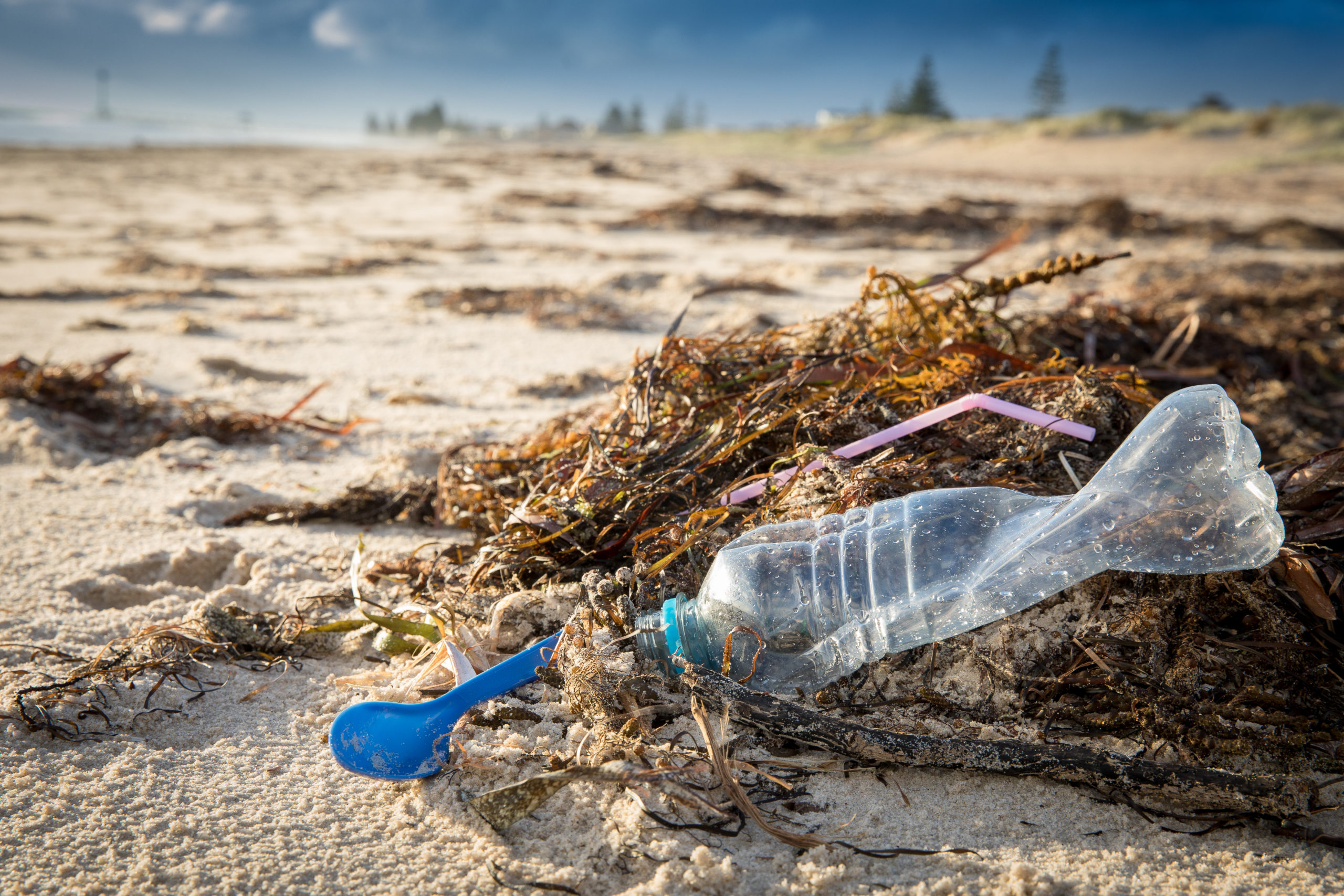 6 ways to go plastic-free this July