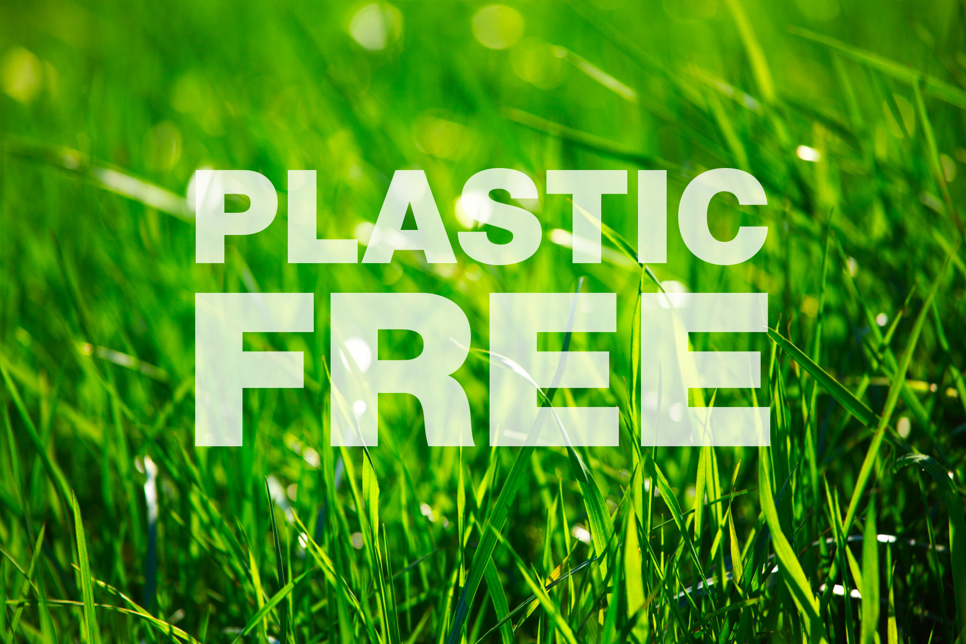 Could You Live a Plastic-Free Lifestyle?