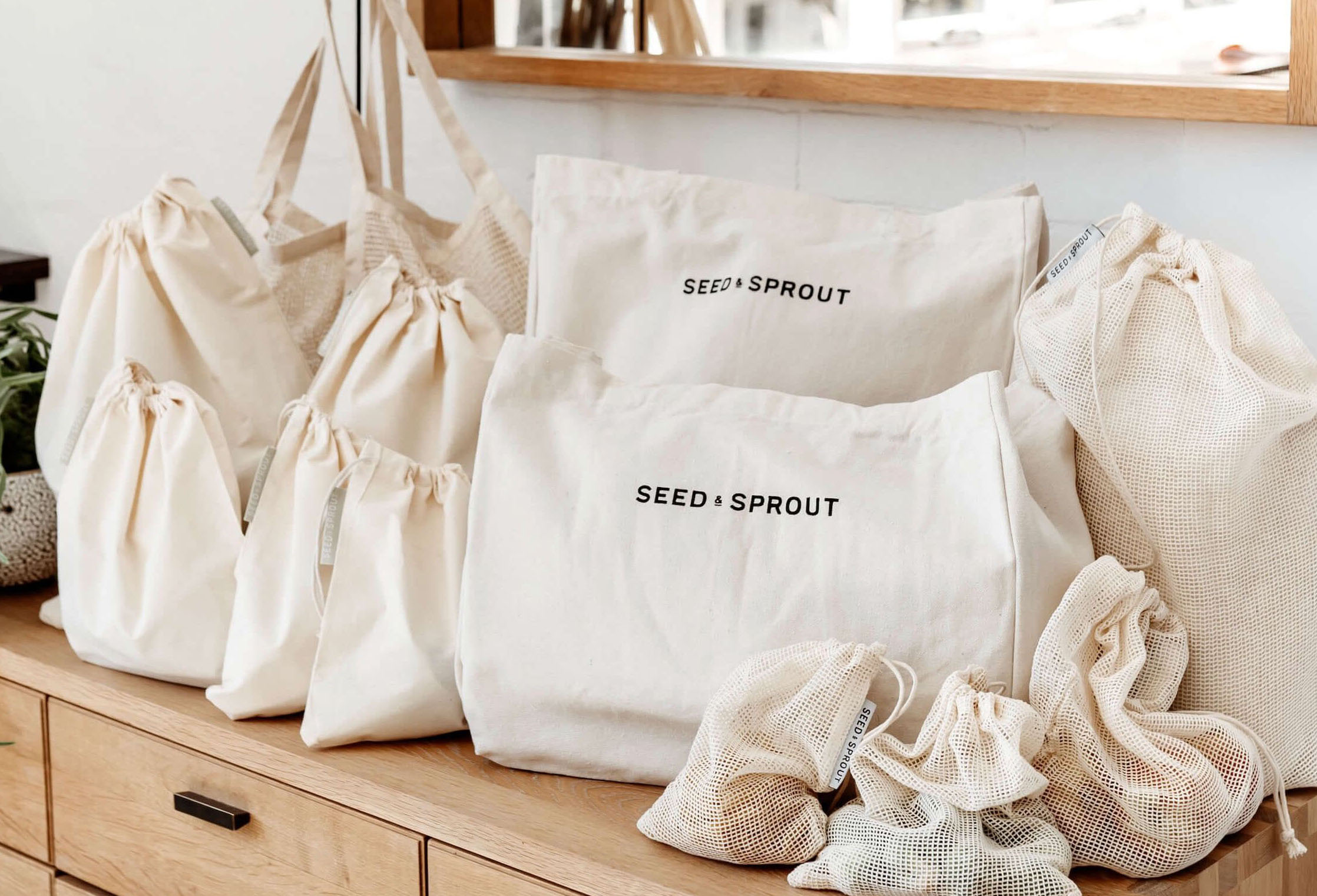 Seed & Sprout: A Commitment to Plastic-Free Products